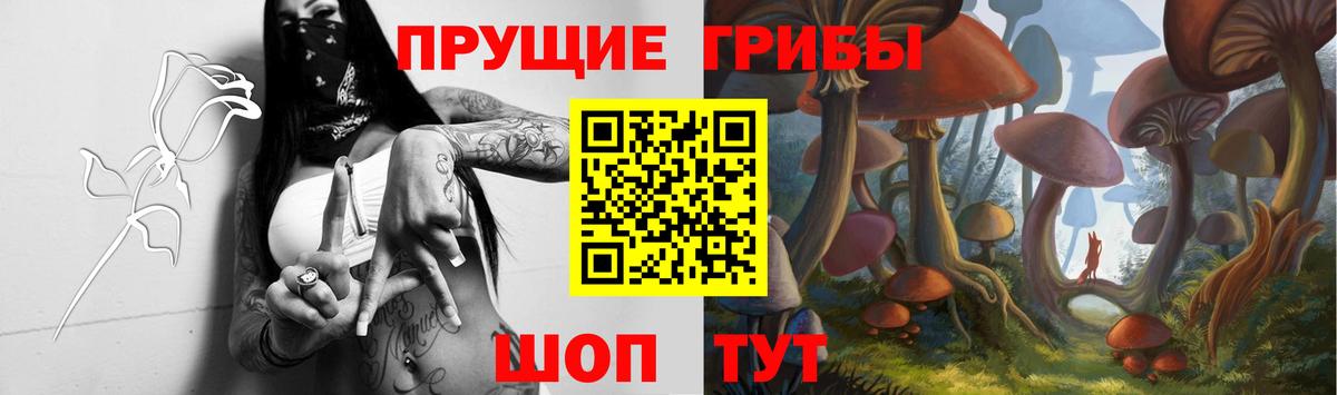 Чехов  Псилоцибиновые грибы GOLDEN TEACHER  Галлюциногенные грибы Cubensis  Вход с VPN 